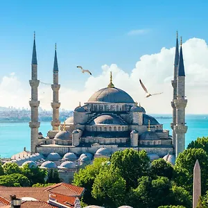 تحقق من التوفر